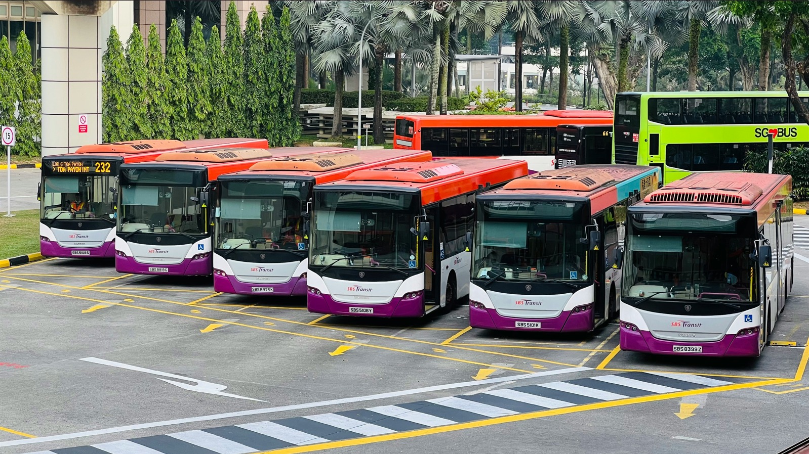 Bus Route System